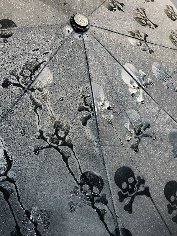 Umbrella: Hidden Skulls (FINAL SALE)