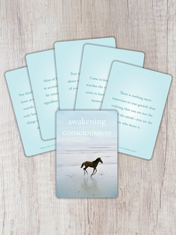 The Untethered Soul: A 52-Card Deck