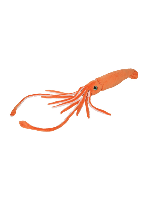 Stretch Squid