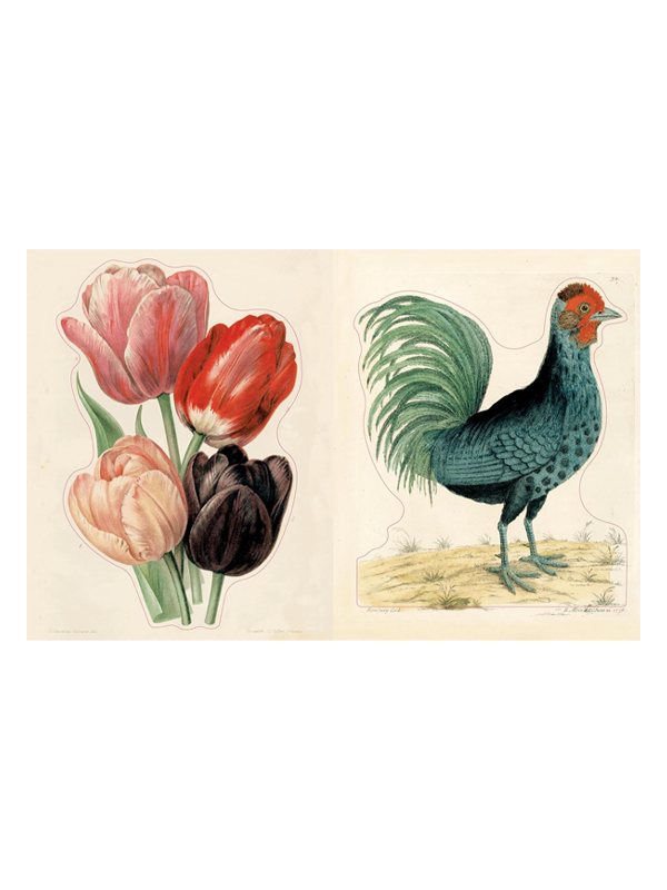John Derian Sticker Book II
