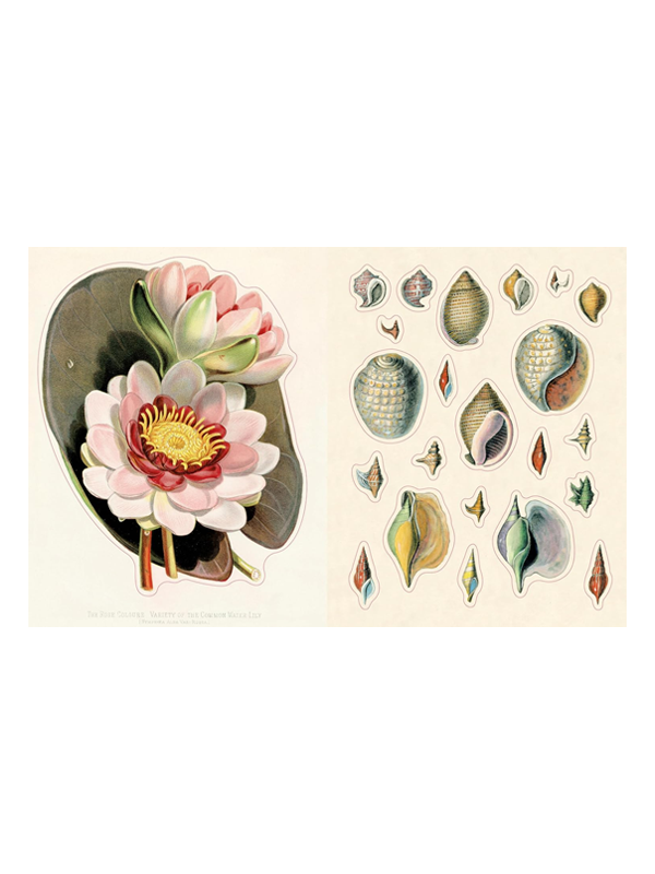 John Derian Sticker Book II