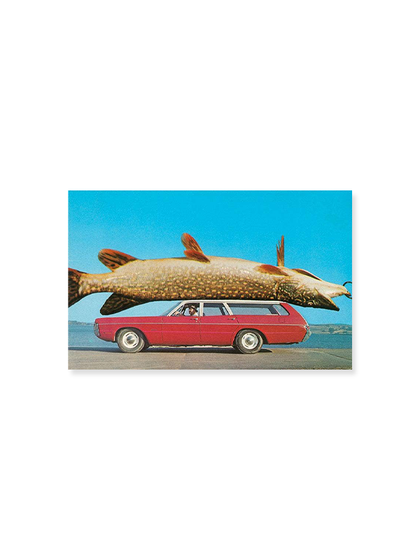 Magnet: Stationwagon with Giant Trout