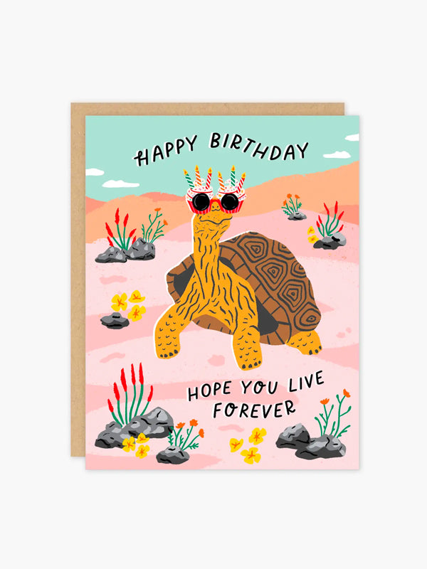 Tortoise Birthday Card