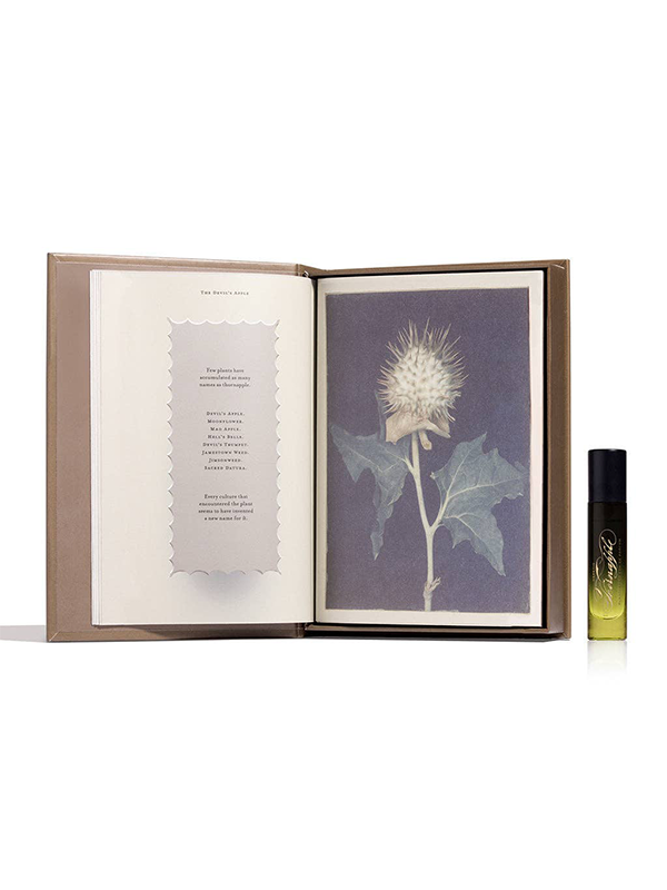 Thornapple Fragrance 5ml