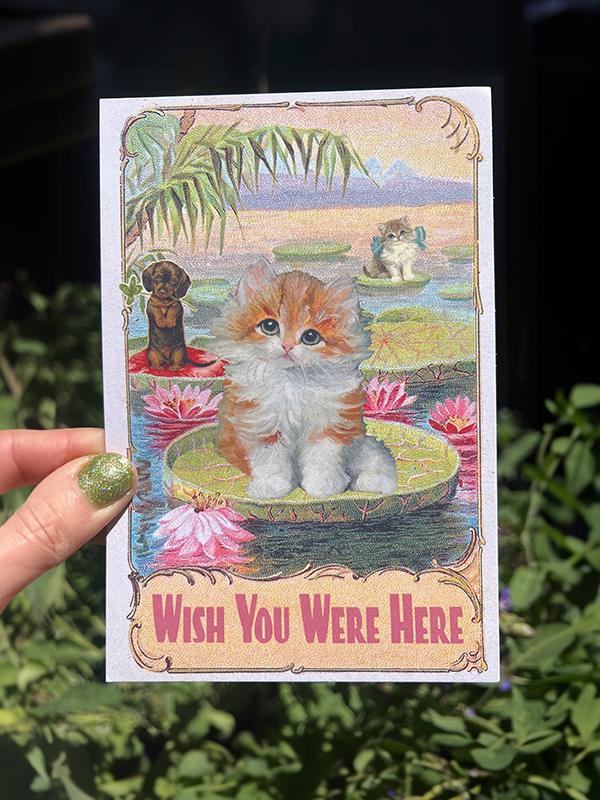 Wish You Were Here Postcard