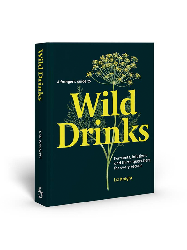 A Forager's Guide to Wild Drinks