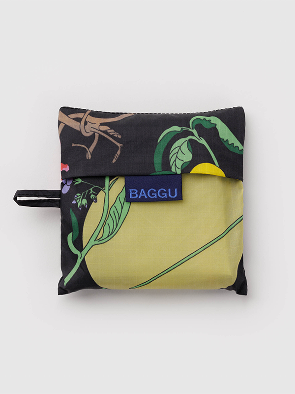 Standard Baggu: Winter Gourd