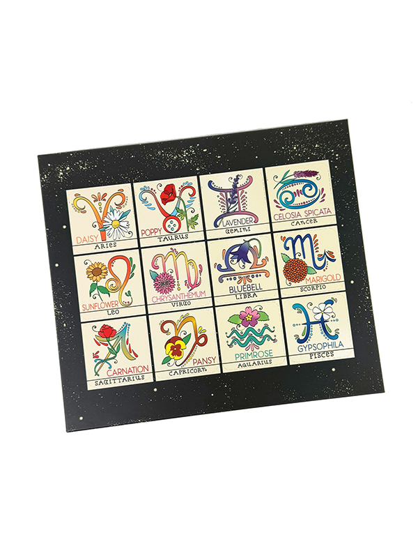 Zodiac Flower Seed Ball Planting Set