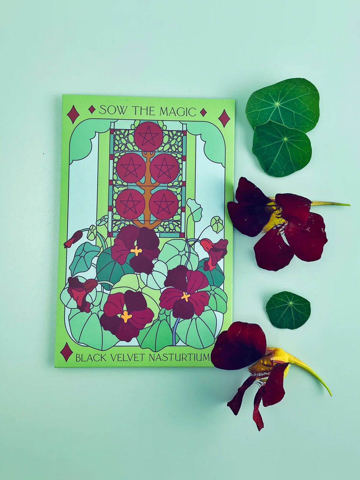Black Velvet Nasturtium Tarot Seed Packet