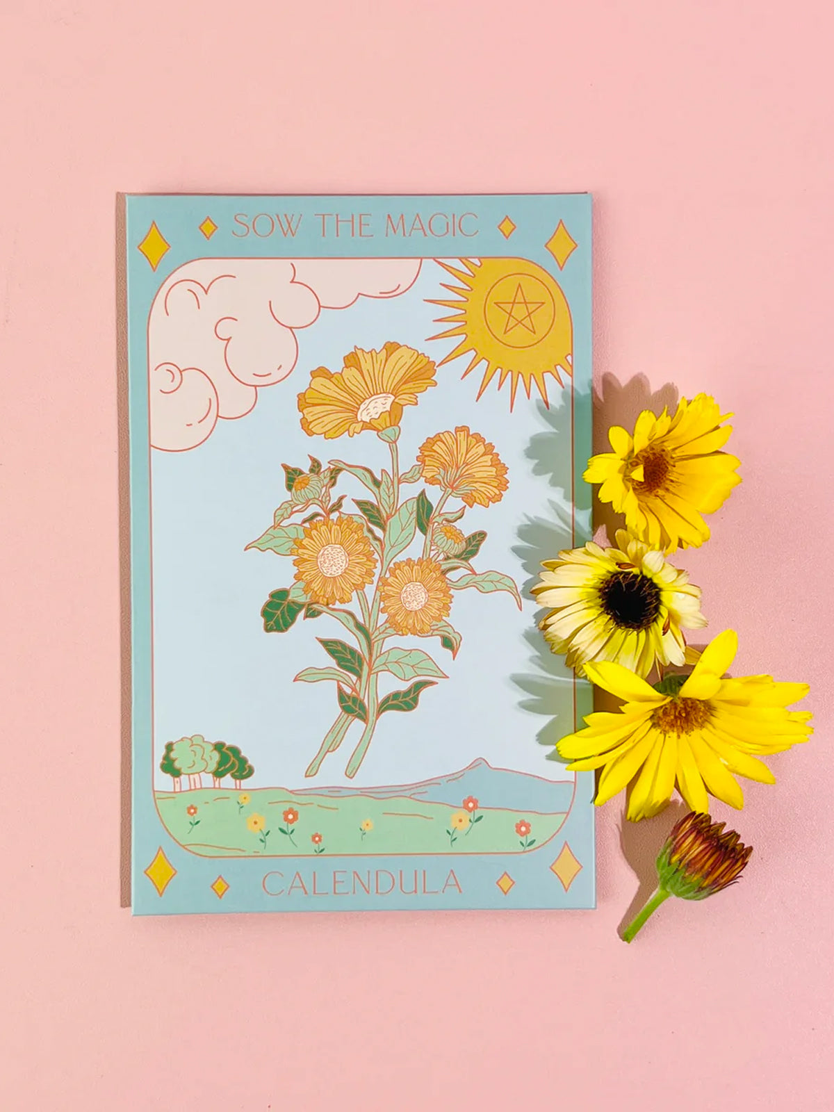 Calendula Tarot Seed Packet