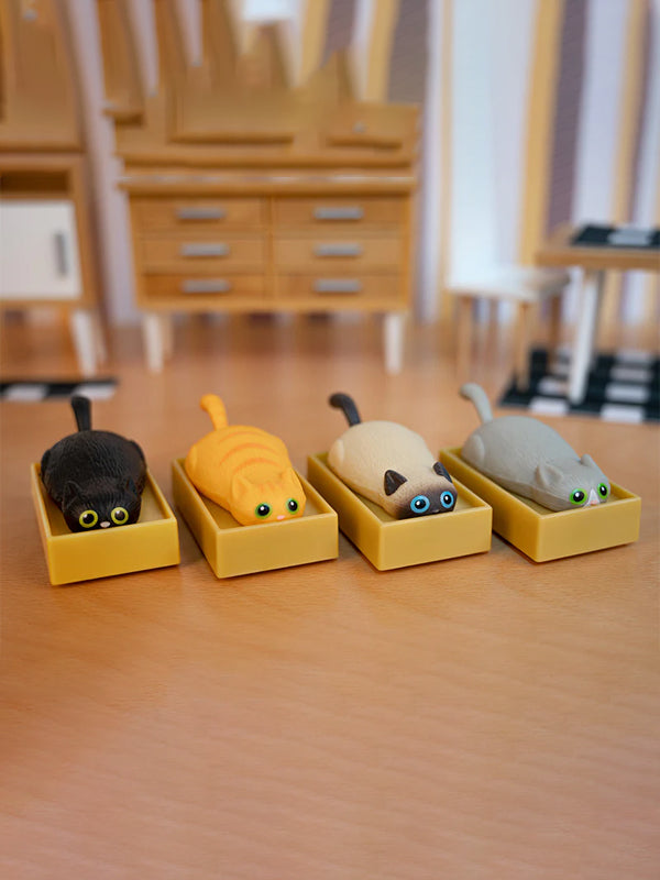 Racing Cat In A Box: Assorted