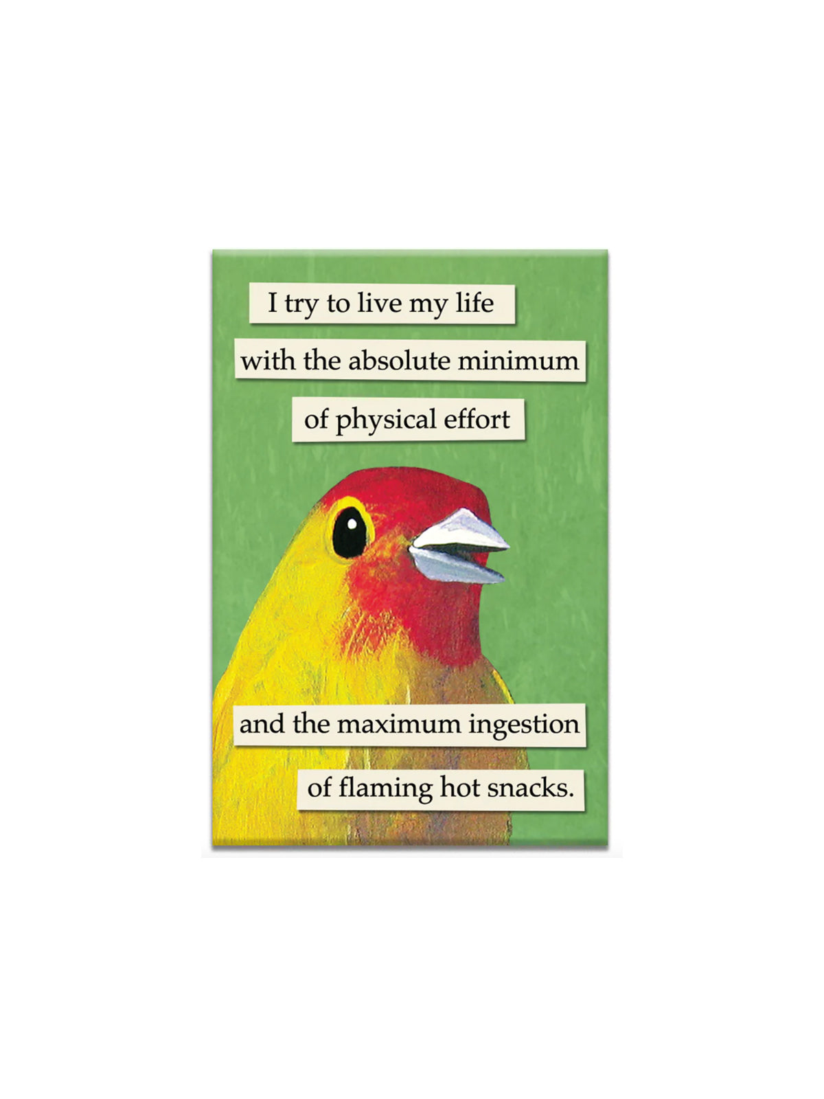 Flaming Hot Snacks Magnet