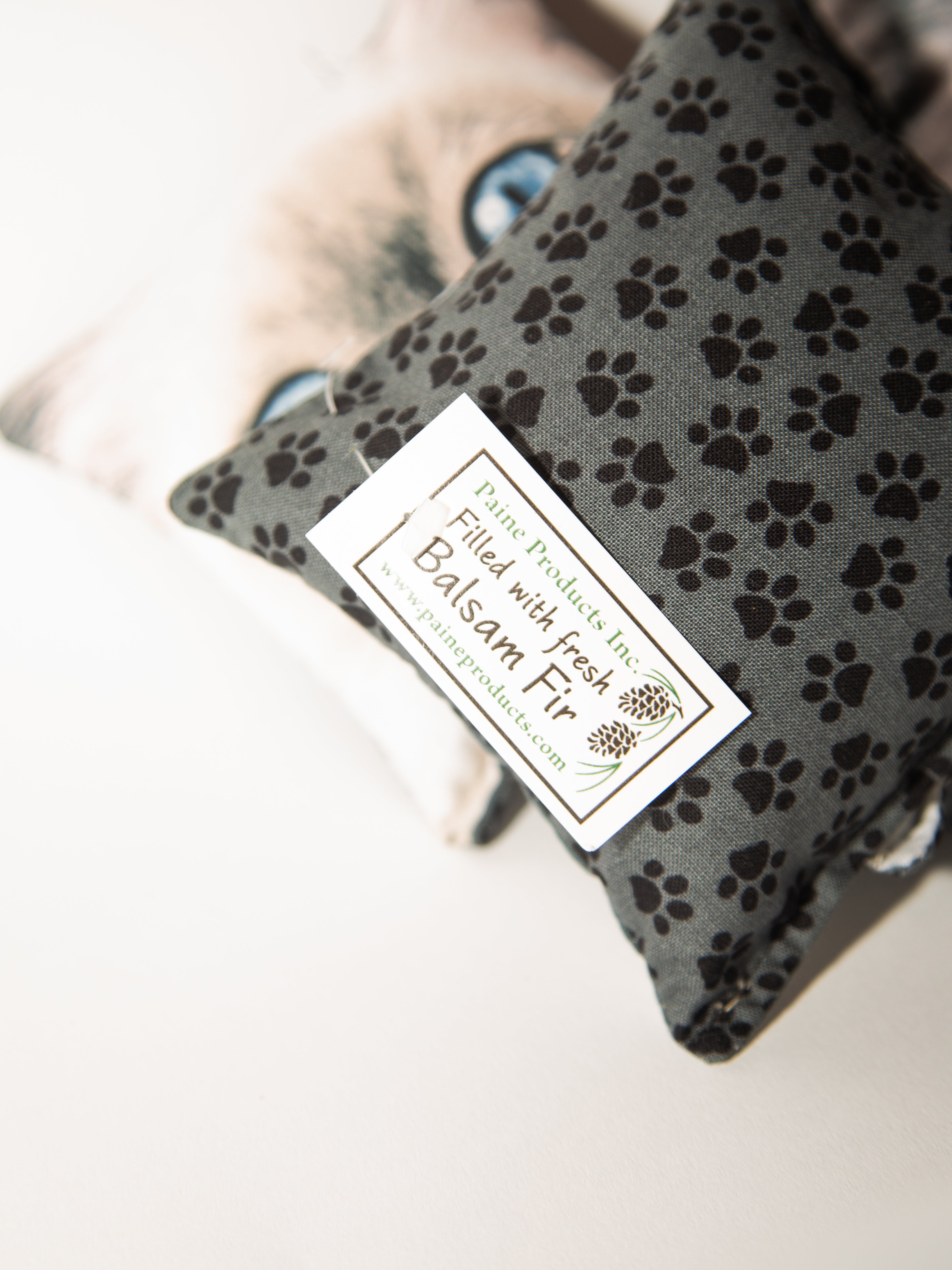 Cat Eyes Balsam Filled Pillow: Assorted Kitties